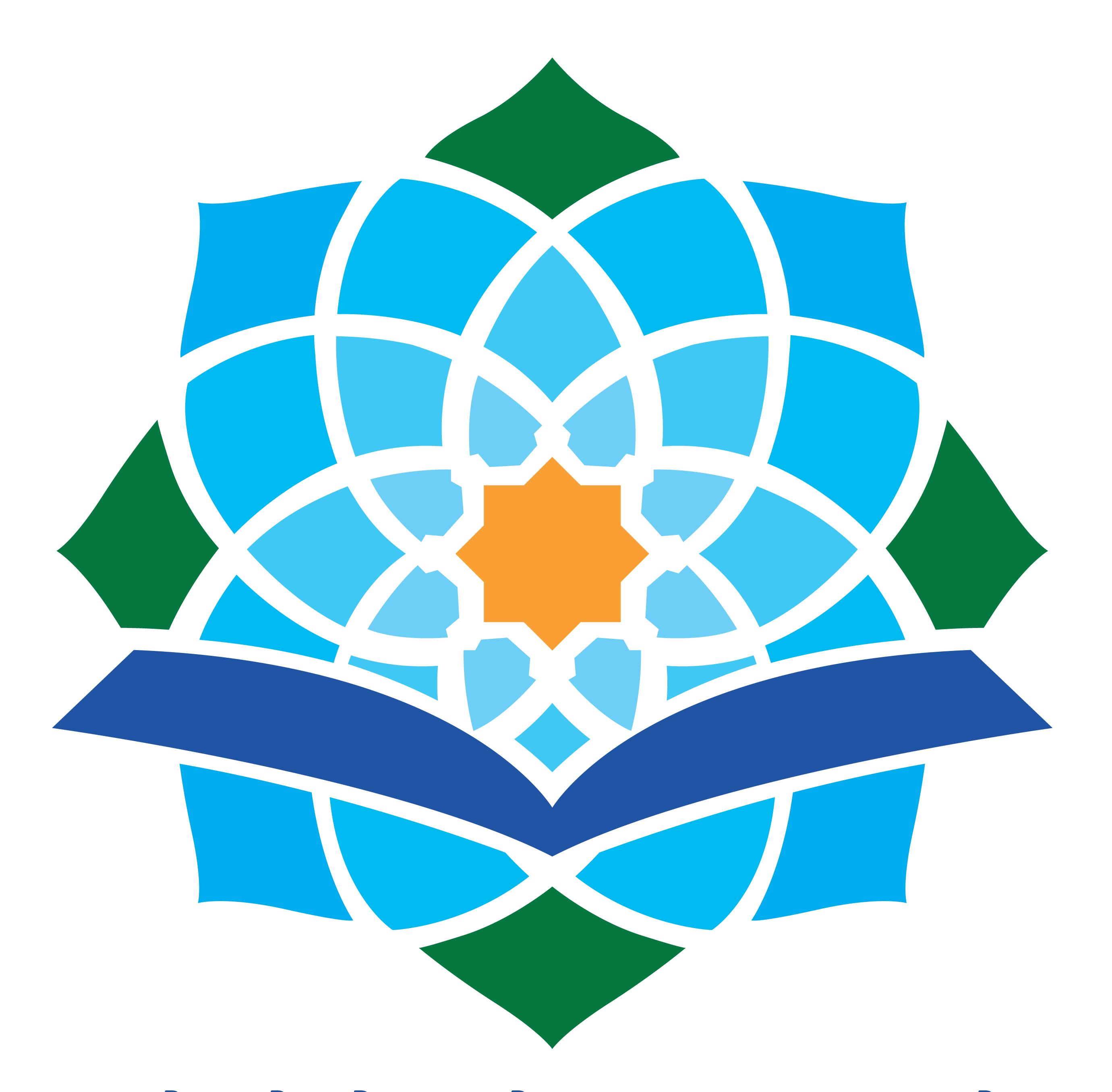 Logo SIT Nurul Fikri